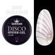 Disco Spider Gel D6 фіолетовий, 8 мл, Дизайнер (Світловідбиваюча павутинка) 005673 фото